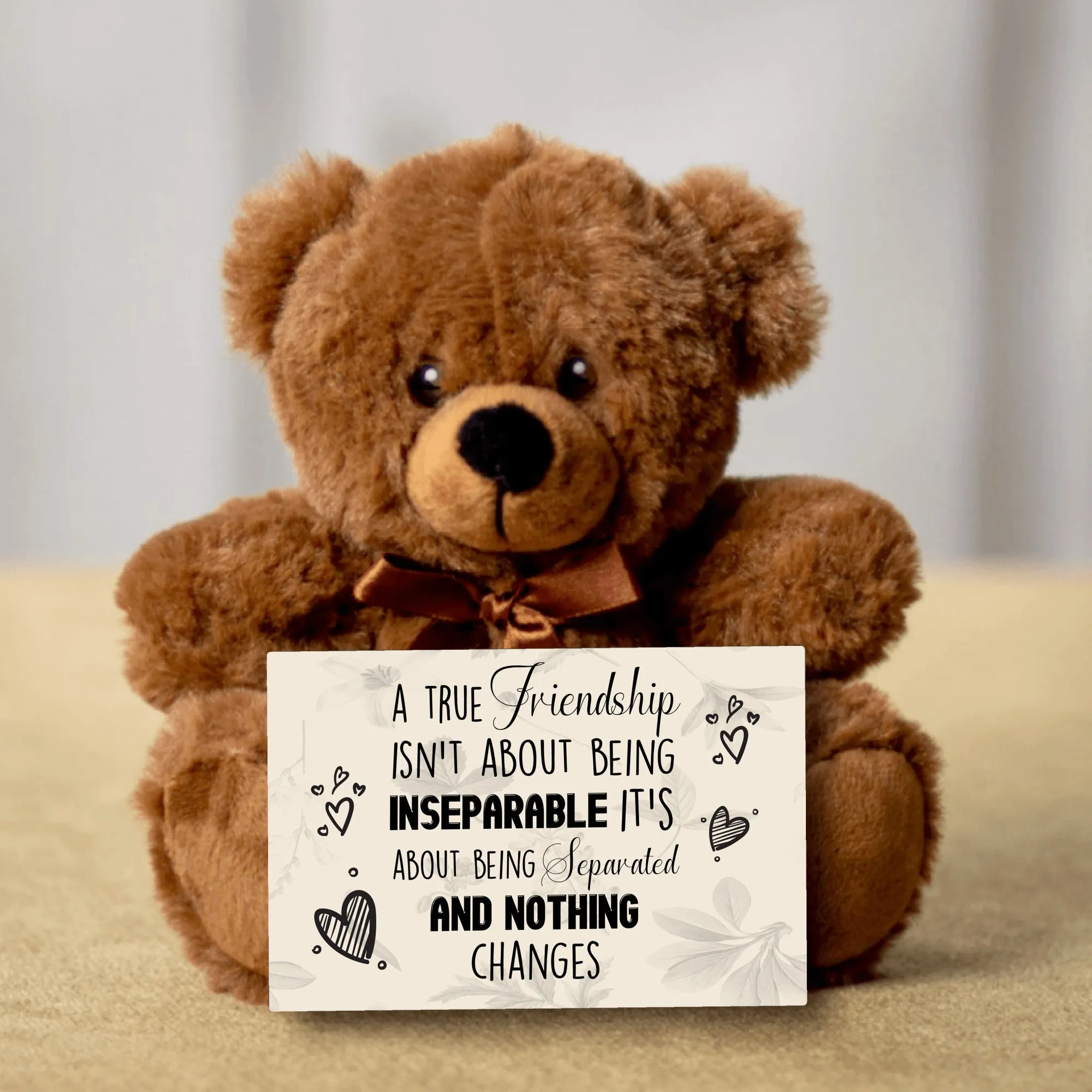 A True Friendship Teddy Bear - PRICE INCLUDES FREE SHIPPING