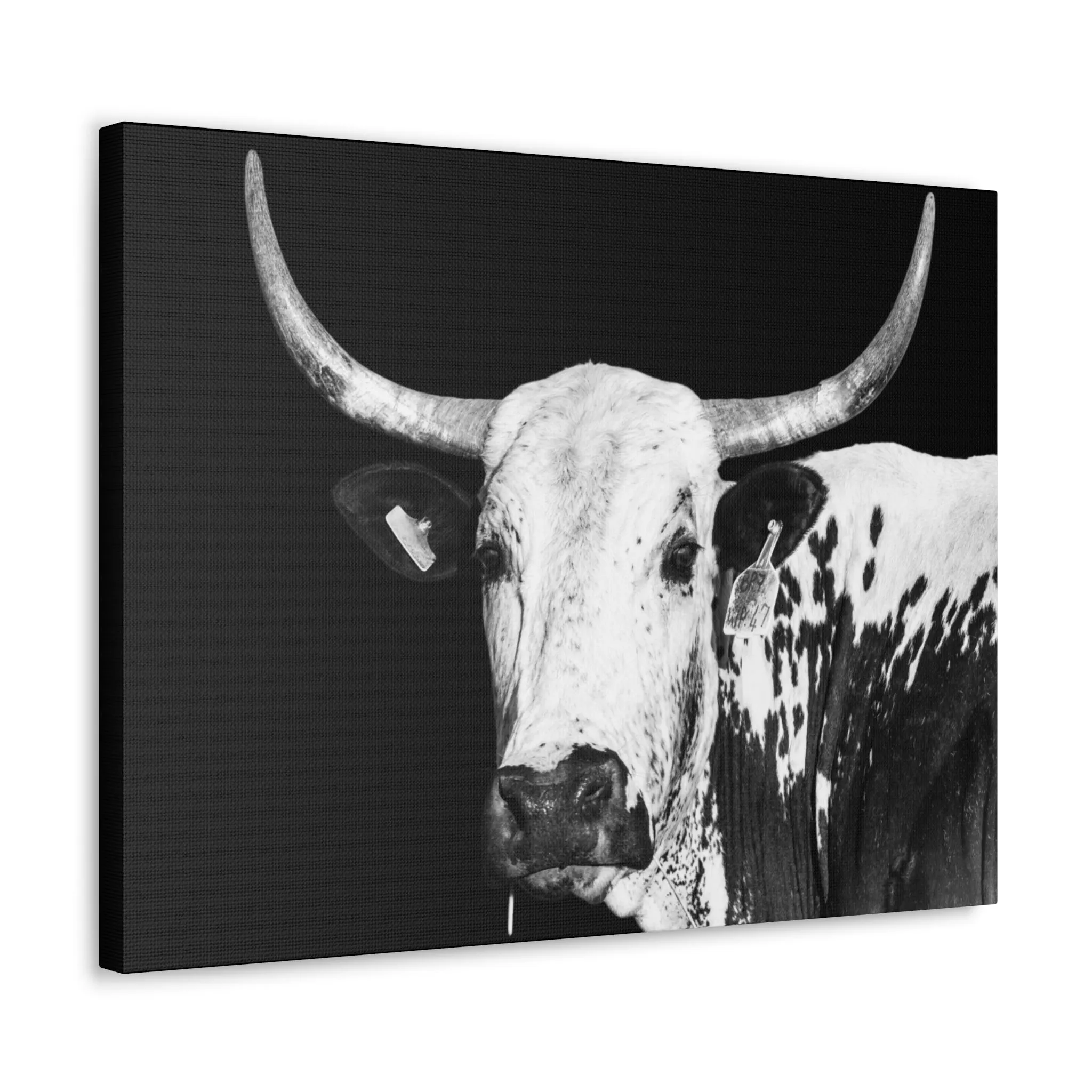Canvas Gallery Wraps Rodeo Time
