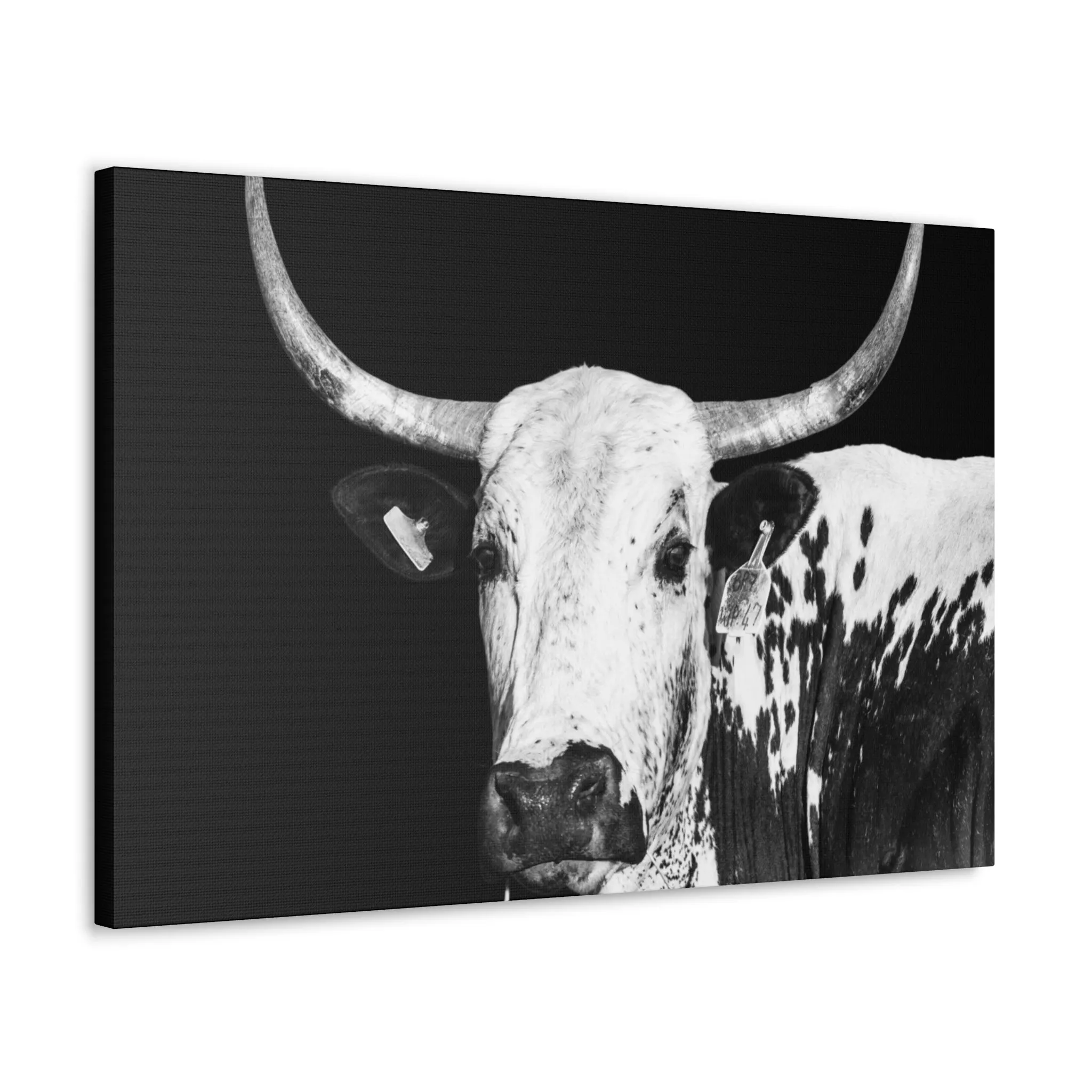 Canvas Gallery Wraps Rodeo Time