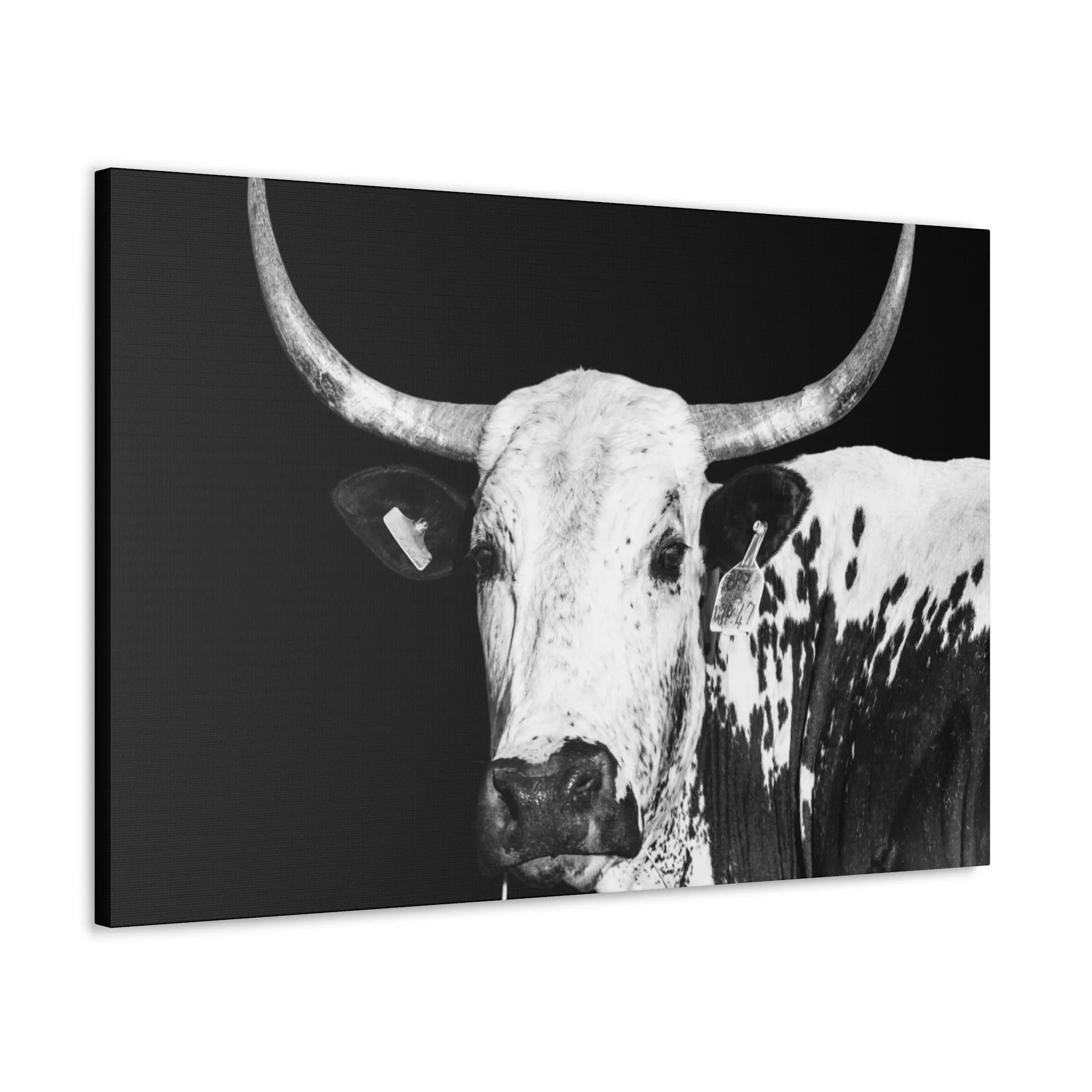 Canvas Gallery Wraps Rodeo Time