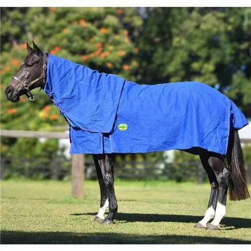Horsemaster Ripstop Canvas Unlined Combo - Blue/Blue