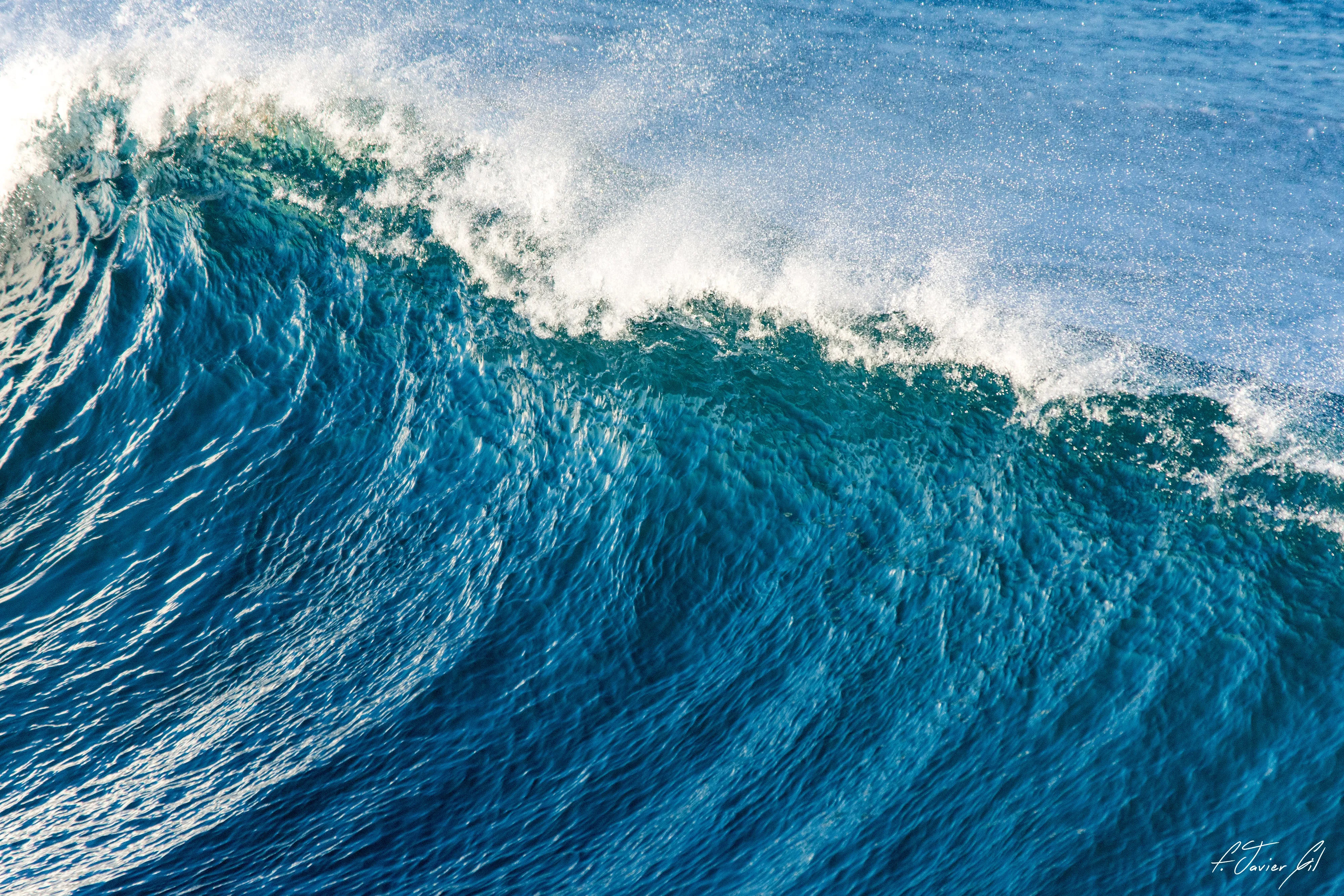 Indicator's Wave Crest