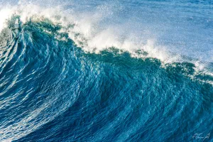 Indicator's Wave Crest