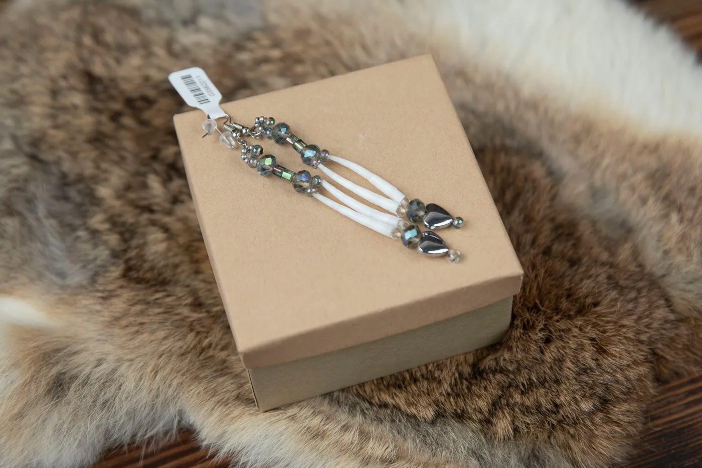 Iridescent Dangle Earrings