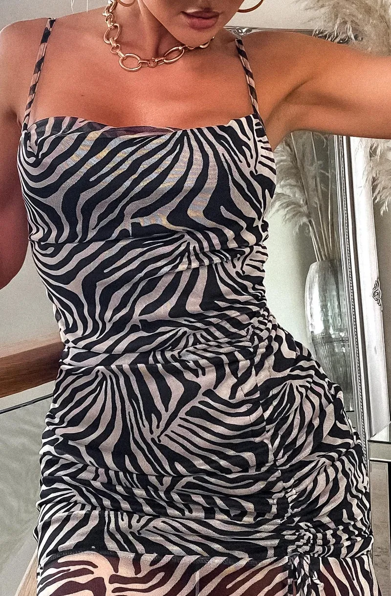 Nancie Animal Print Mesh Insert Dress
