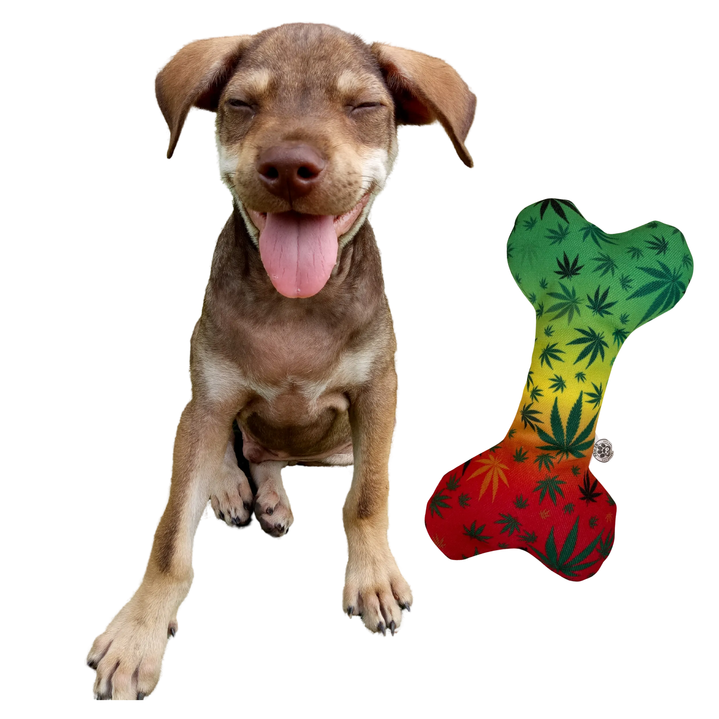 PAW:20 - Stoned to da Bone 420 Dog Toy 🐶  Marijuana, Weed Themed