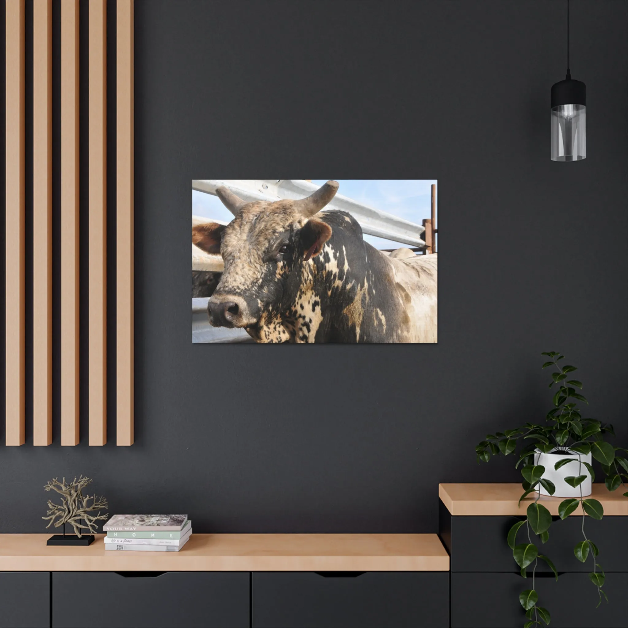 Rodeo Bull Canvas