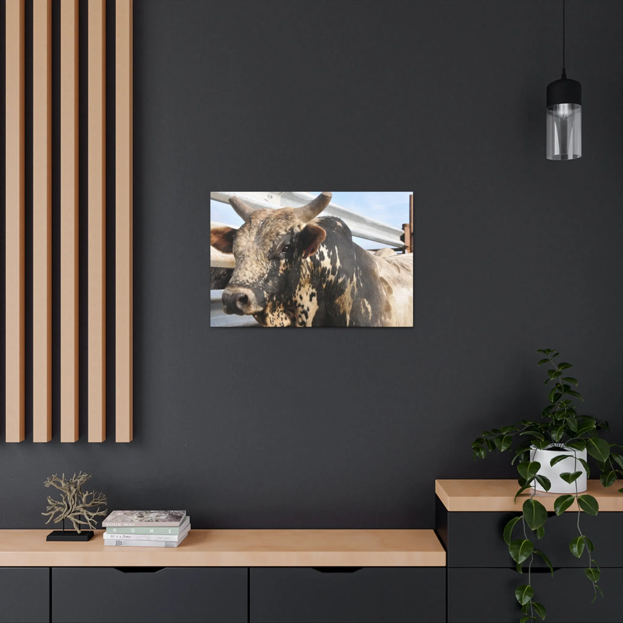 Rodeo Bull Canvas