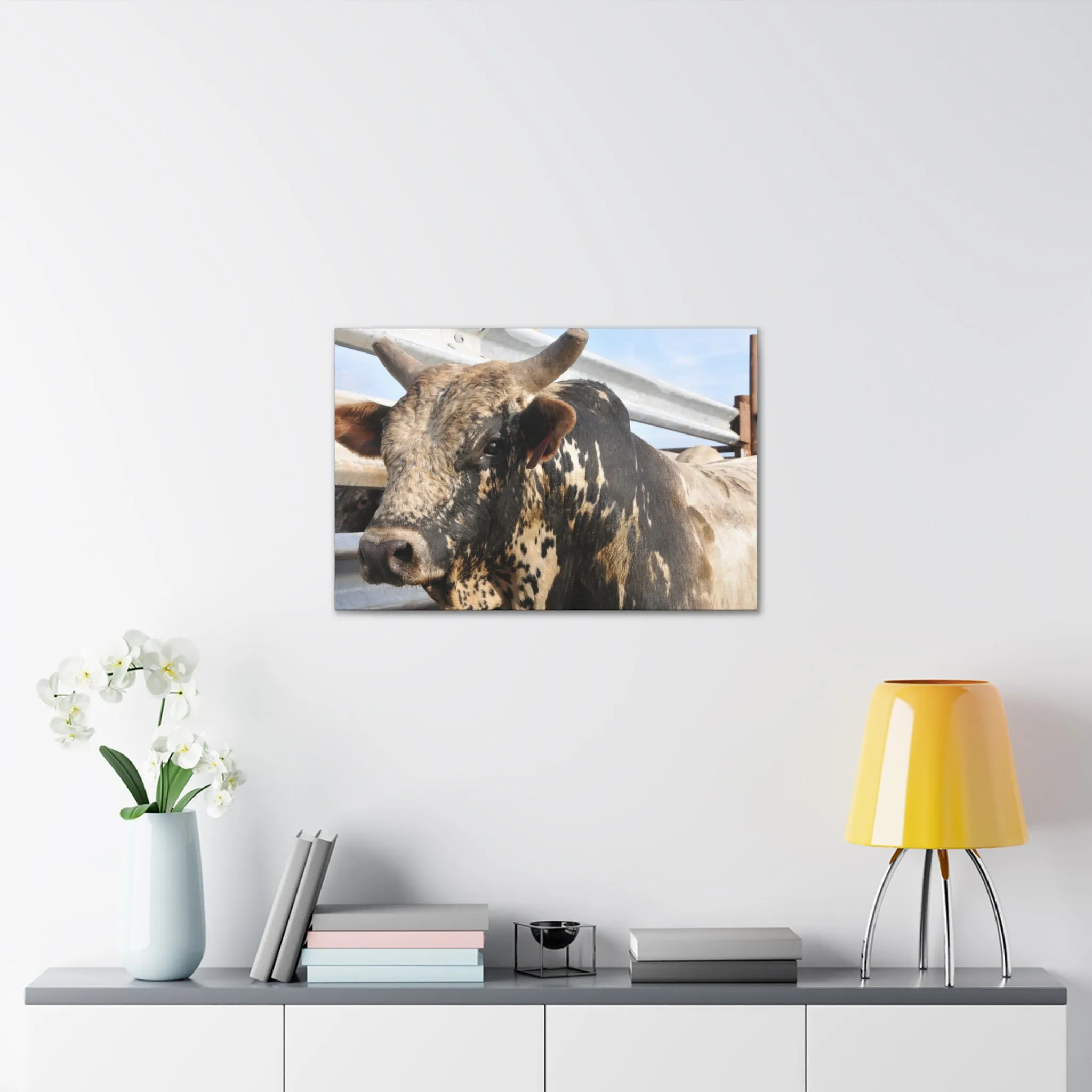 Rodeo Bull Canvas