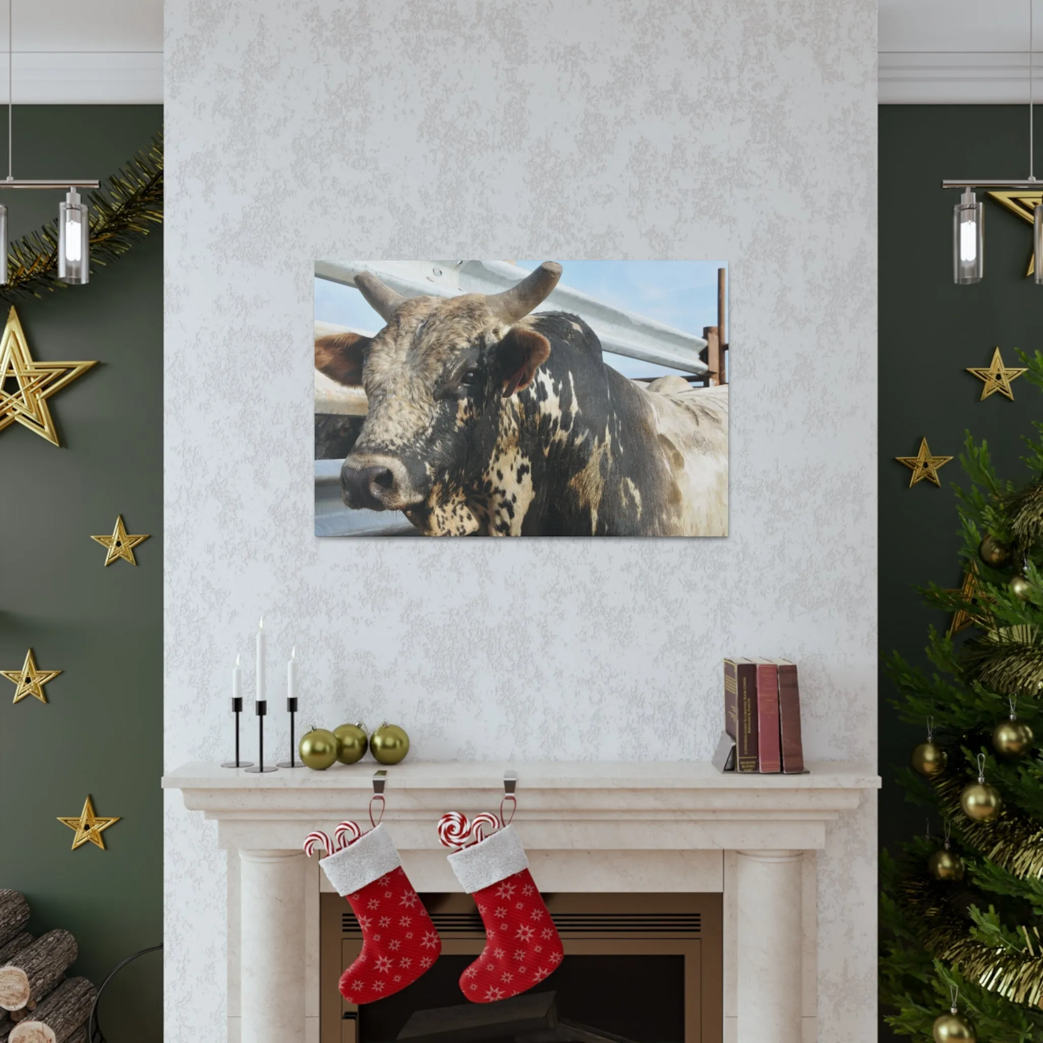 Rodeo Bull Canvas