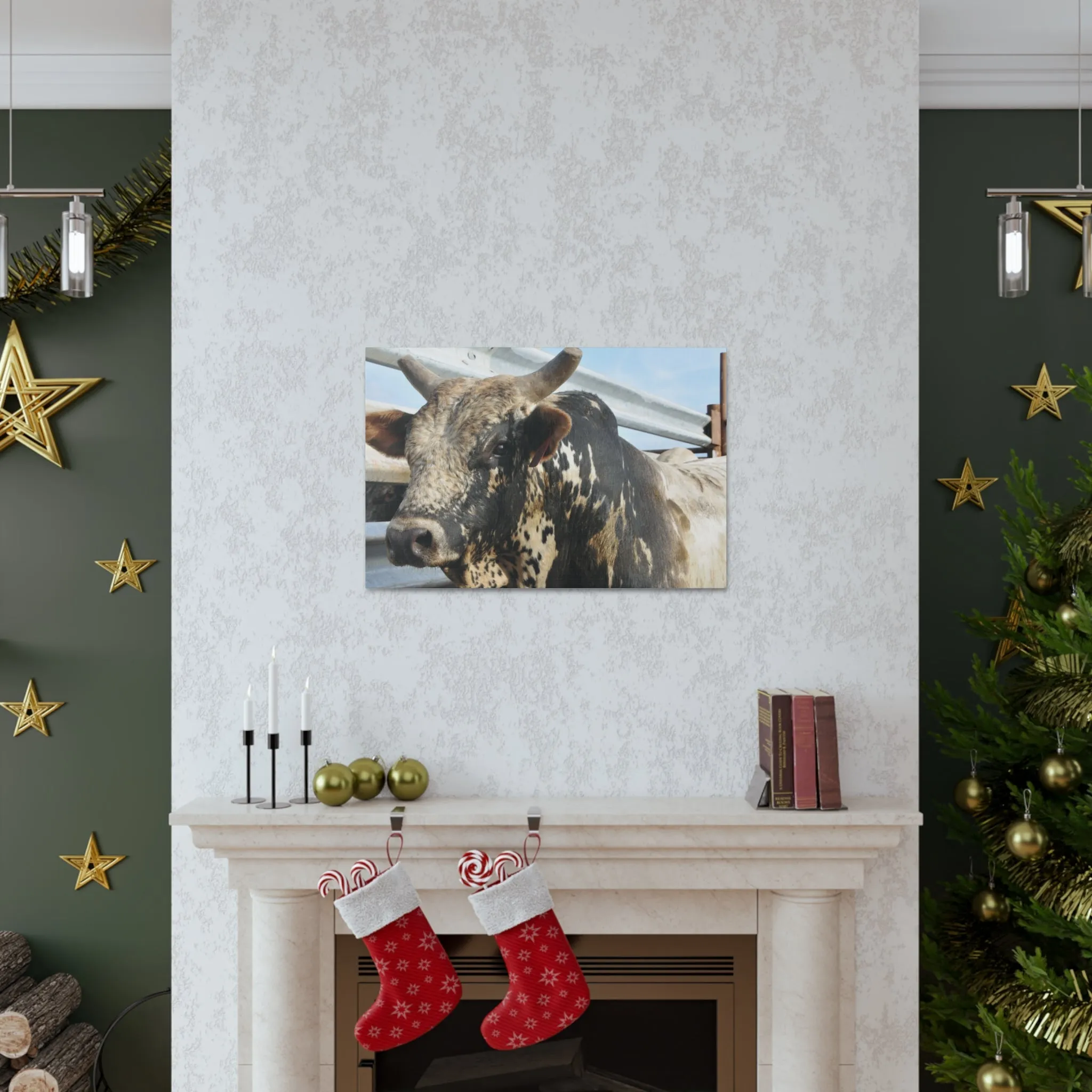 Rodeo Bull Canvas