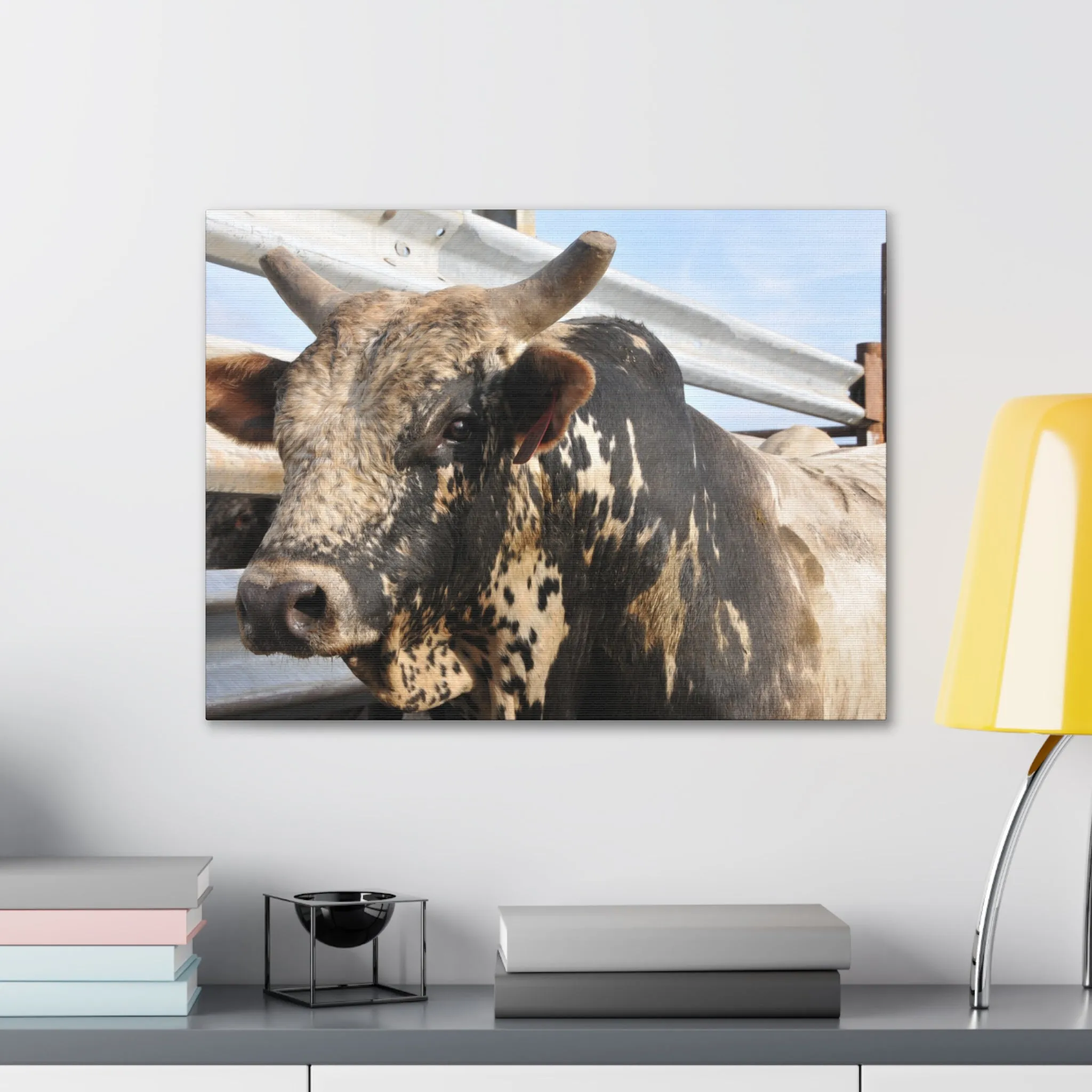 Rodeo Bull Canvas