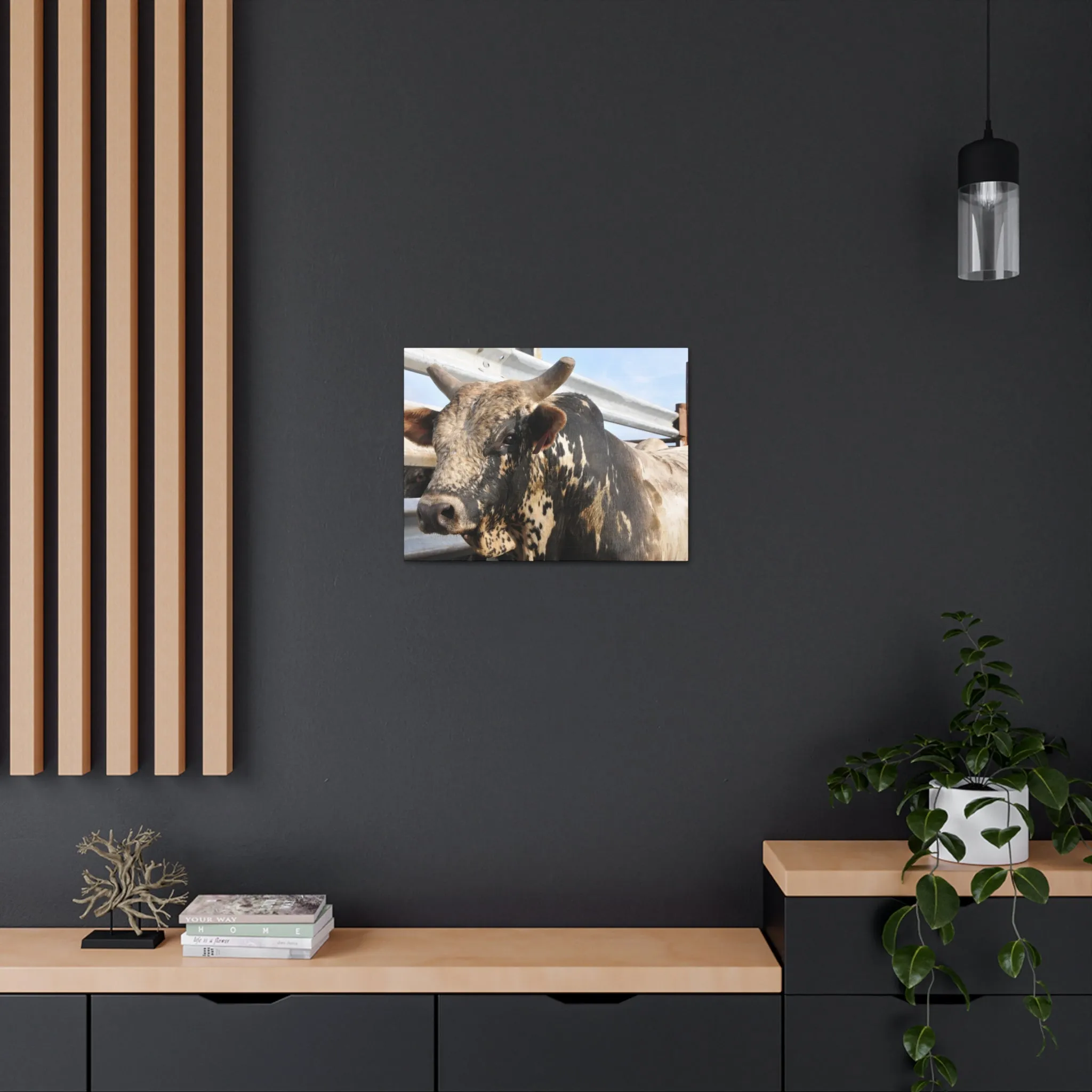 Rodeo Bull Canvas