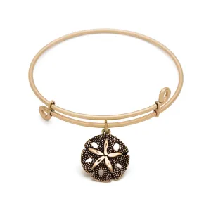 Sand Dollar, Bangle Antique Gold Color Finish