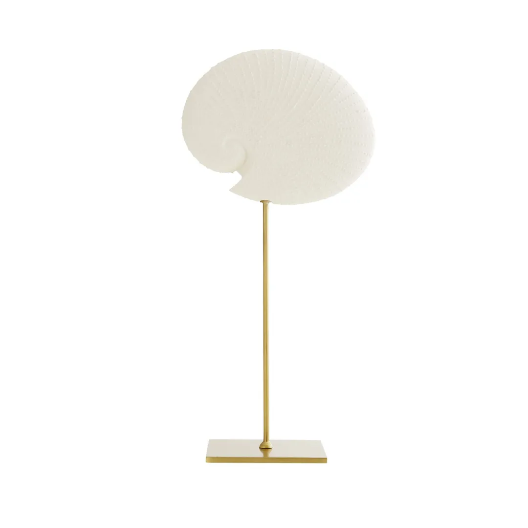 Shell Sculptures Set
