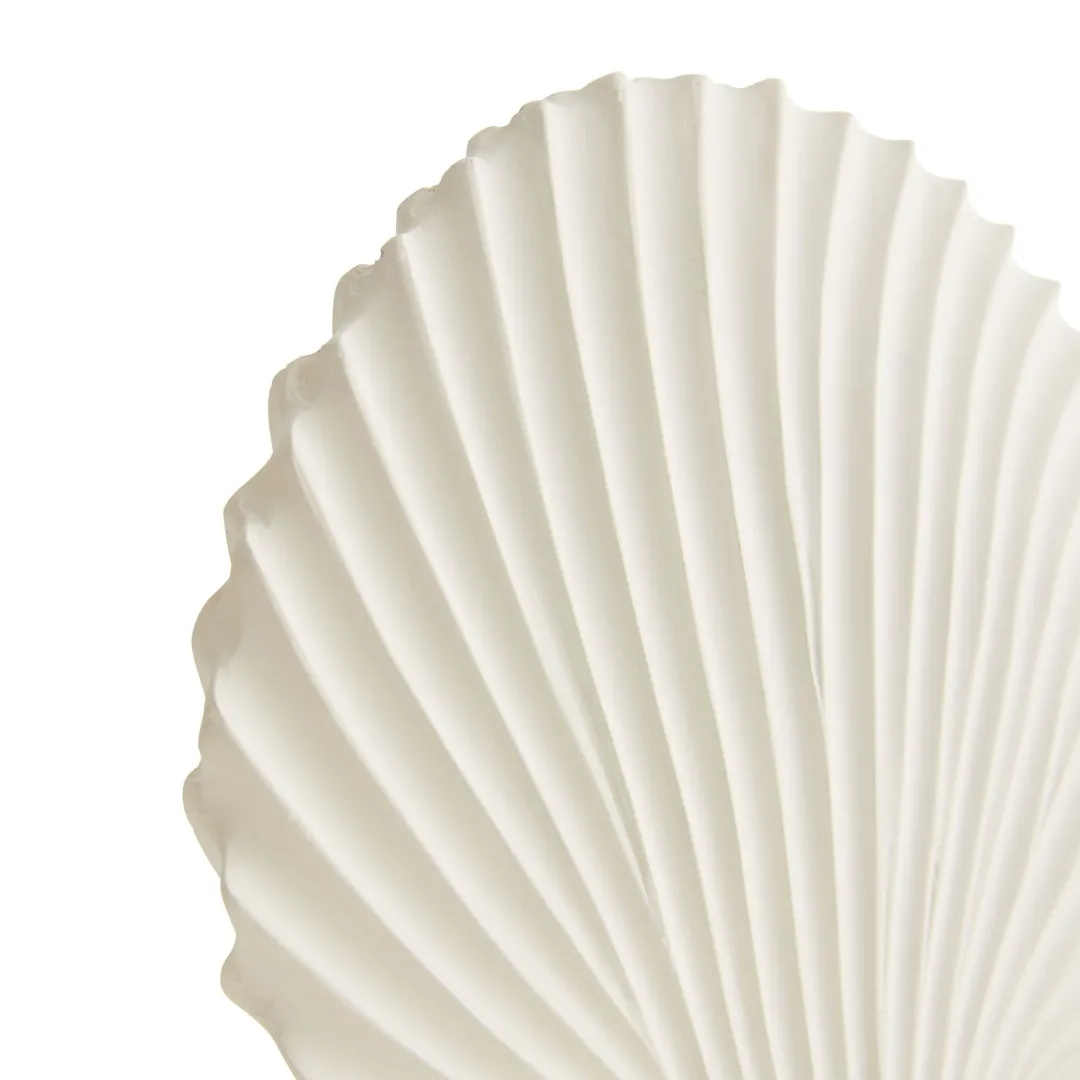 Shell Sculptures Set