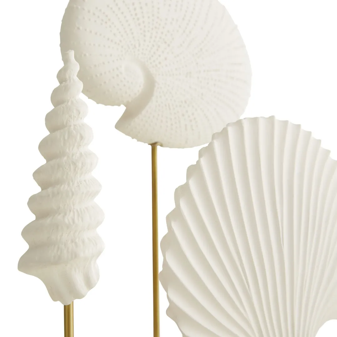 Shell Sculptures Set
