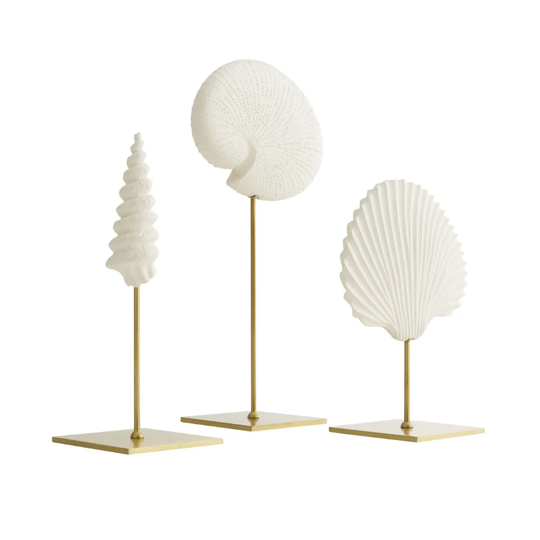 Shell Sculptures Set