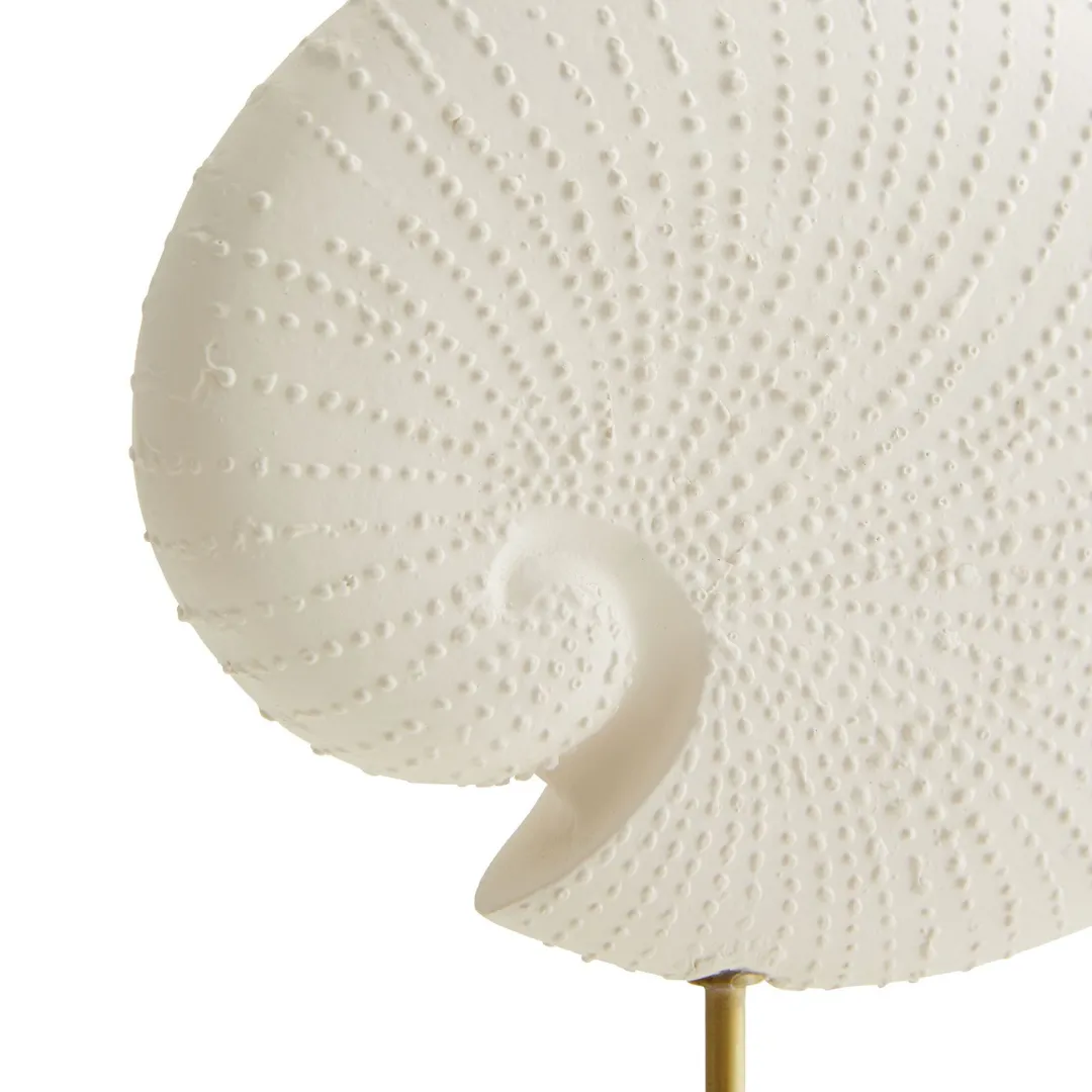 Shell Sculptures Set
