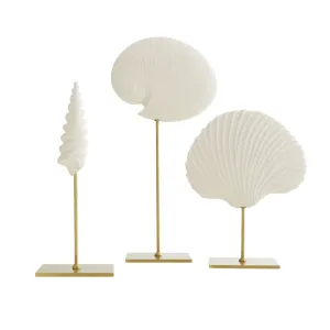 Shell Sculptures Set