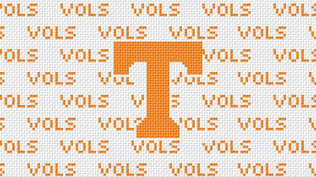 Tennessee Purse Insert