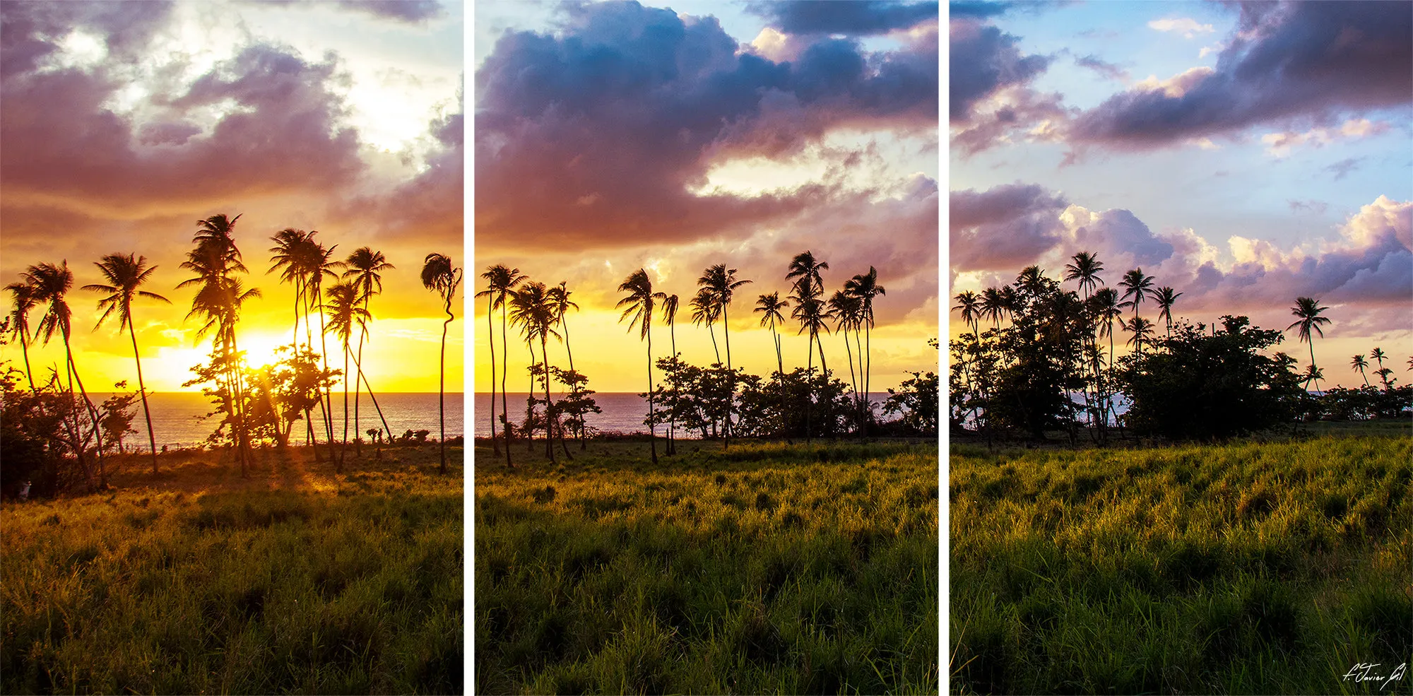 Tres Palmas Sunset