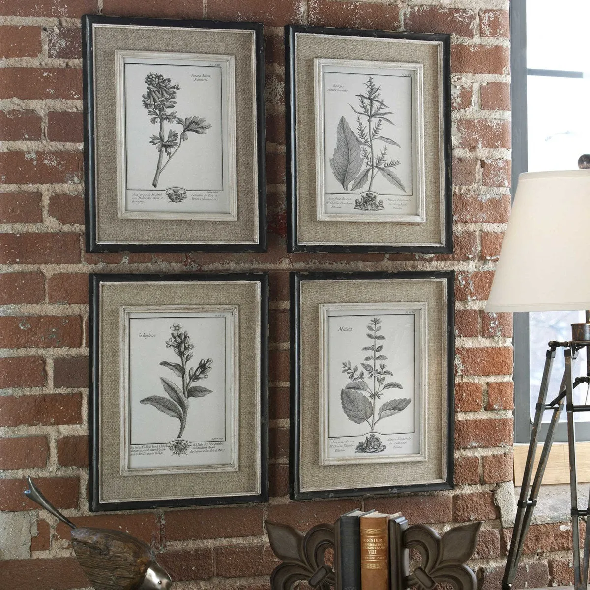 Uttermost Casual Grey Botanical Set of 4 Framed Prints