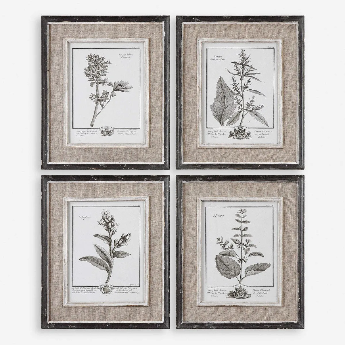 Uttermost Casual Grey Botanical Set of 4 Framed Prints