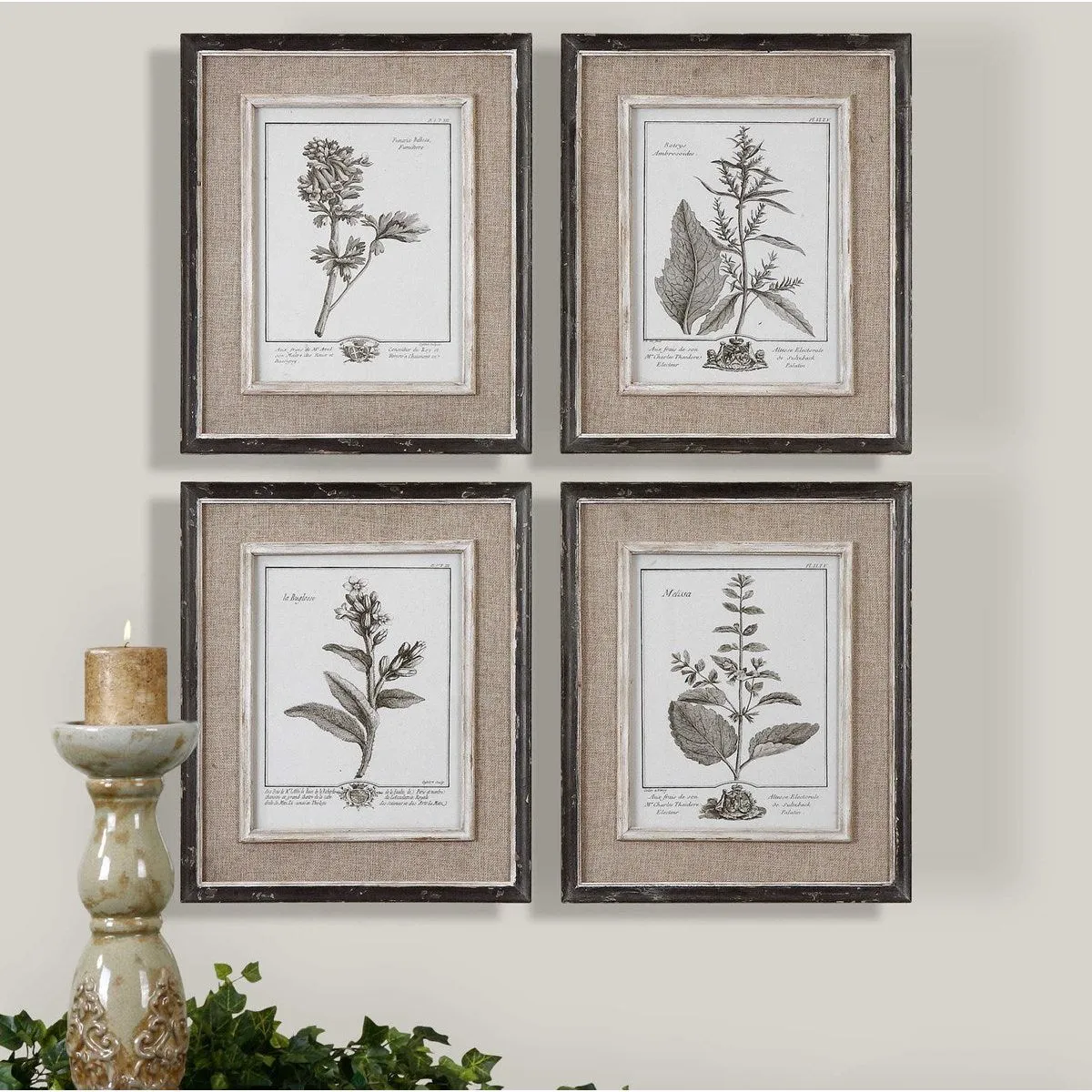 Uttermost Casual Grey Botanical Set of 4 Framed Prints
