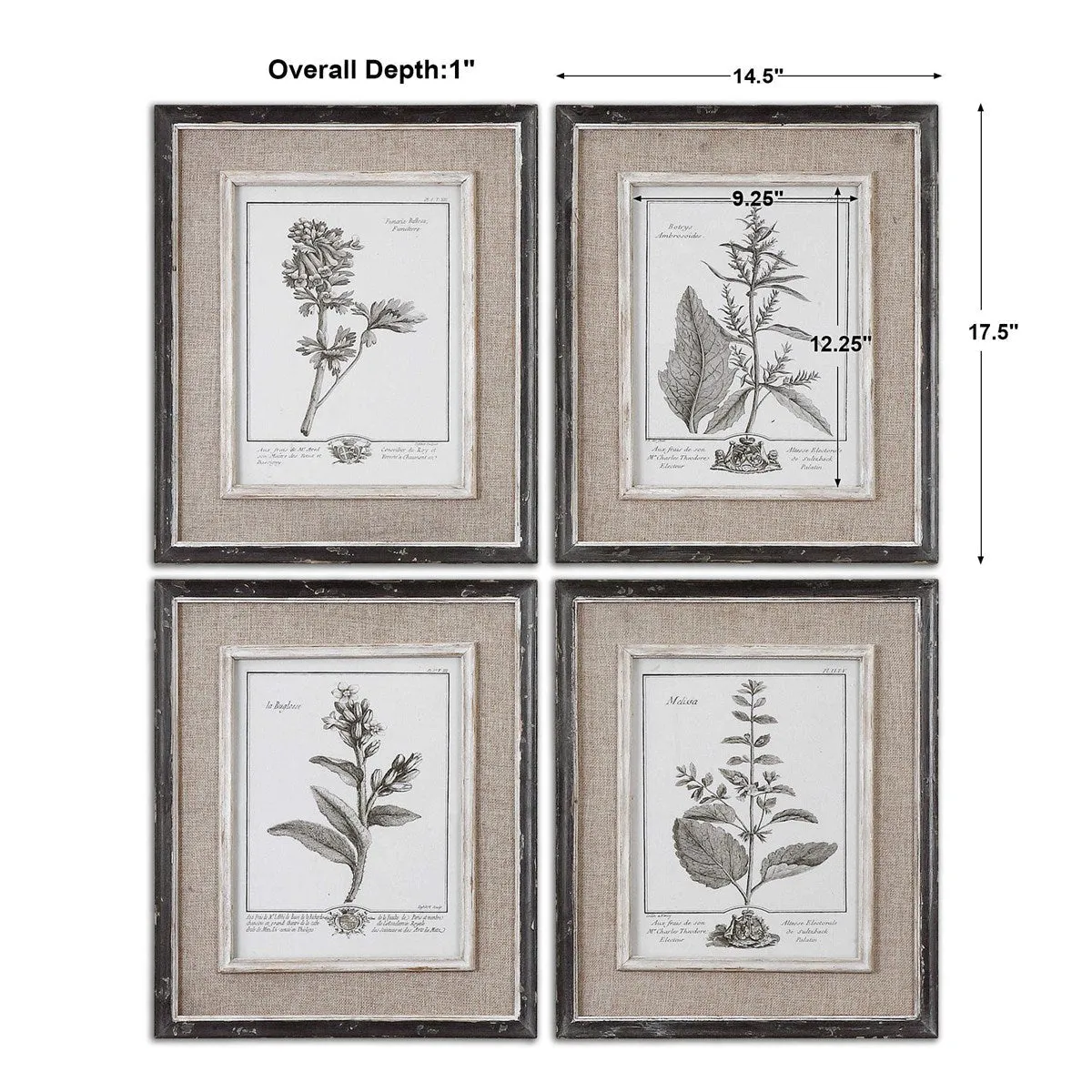 Uttermost Casual Grey Botanical Set of 4 Framed Prints